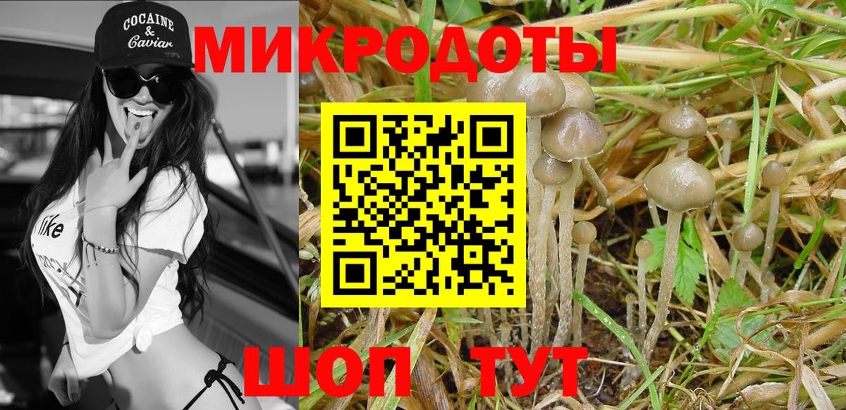 Галлюциногенные грибы Magic Shrooms  Псилоцибиновые грибы ЛСД  Артём  Вход с VPN 