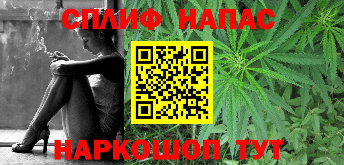 Конопля планчик  Конопля MAZAR  Бошки Шишки Amnesia  Артём 